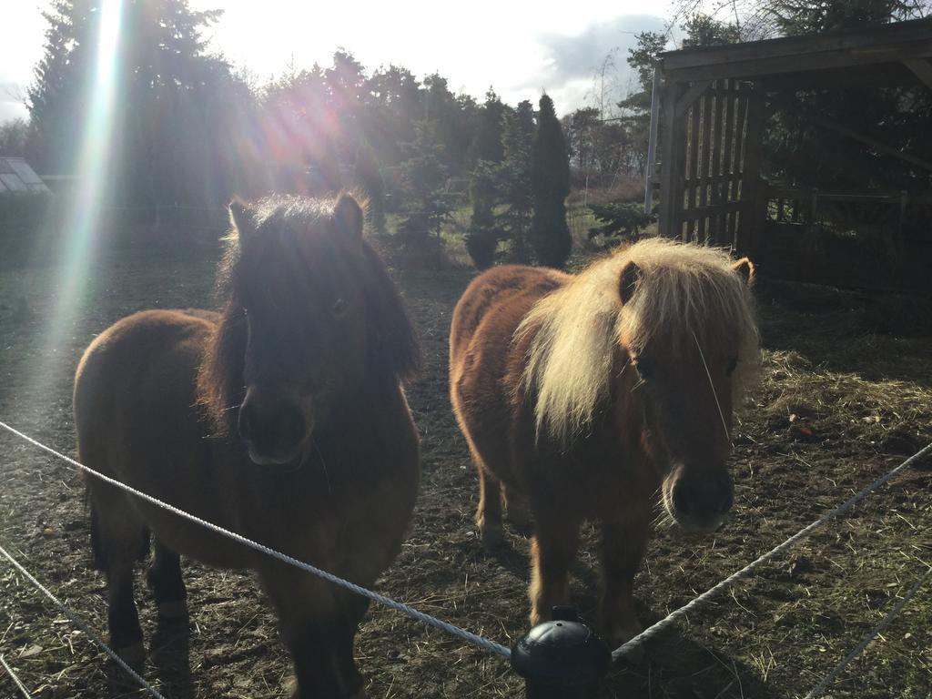 Zu Jeddelohs Lodge Hotel Gladenbach Luaran gambar